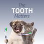 Photo of Gailor Animal Hospital