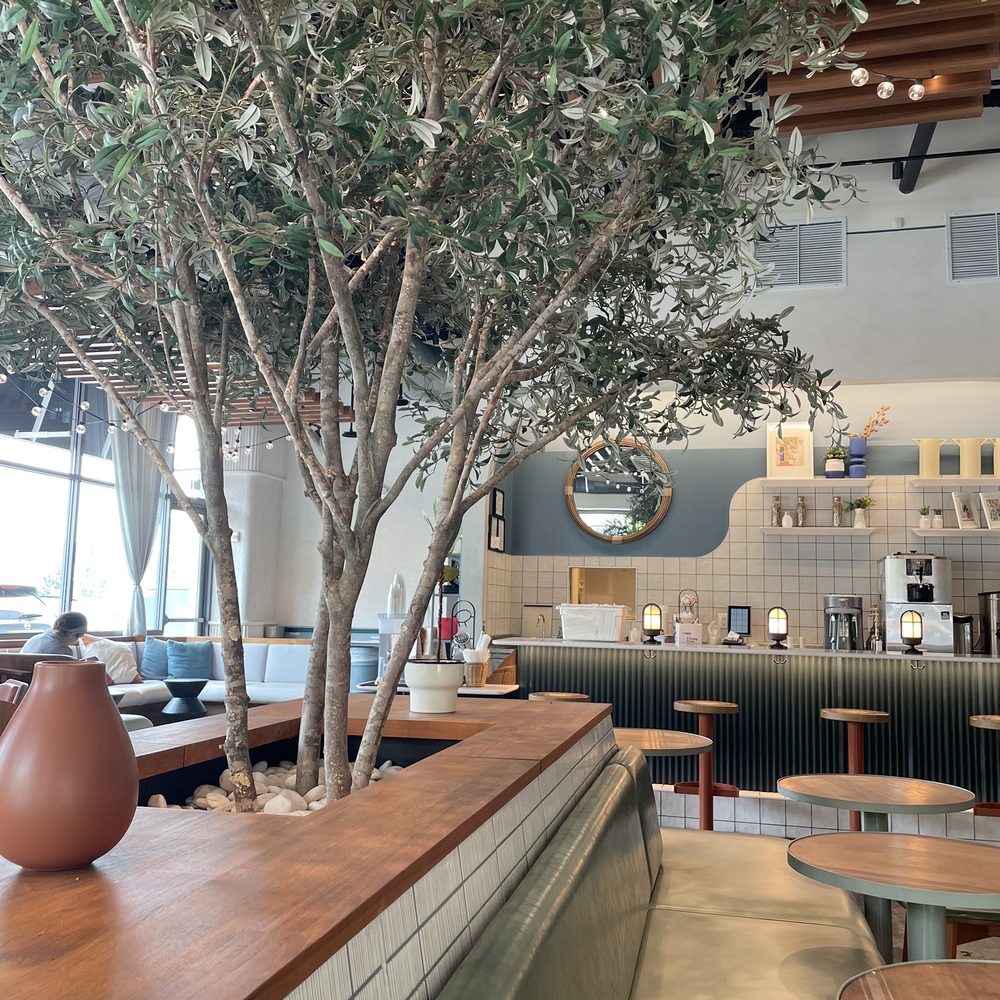 Cava - Beautiful interior - Mediterranean Near Me - Woodbridge, Virginia Cava - Beautiful interior - Mediterranean Near Me - Woodbridge, Virginia