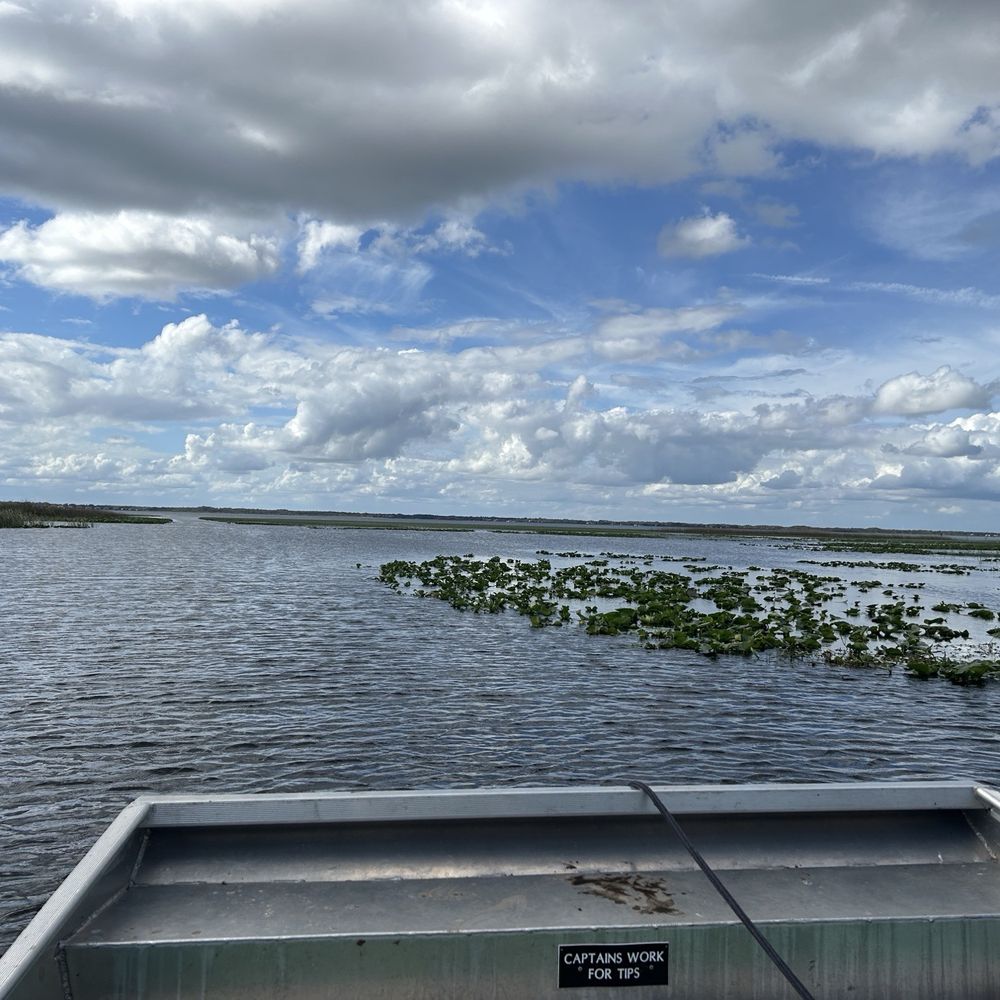 Wild Willy's Airboat Tours - Views! - Boat Tours Near Me - Saint Cloud, Florida Wild Willy's Airboat Tours - Views! - Boat Tours Near Me - Saint Cloud, Florida