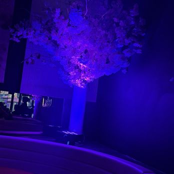 STK Steakhouse Denver - Bars Near Me - Denver, Colorado STK Steakhouse Denver - Bars Near Me - Denver, Colorado