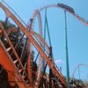 Georgia Scorcher gift card