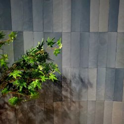 Roca Tilebar Havre 3x12 Ceramic wall tile.  Blue is BEAUTIFUL!