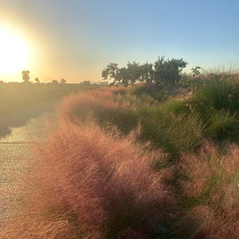 Sunset Ridge Park photo 4