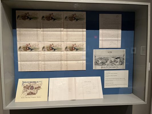 Albany Institute of History & Art by null