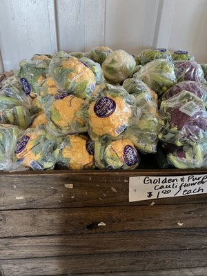 Larry's Produce by null