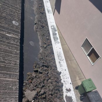 Clarity Exterior Home Services - Pressure Washers Near Me - Surrey, British Columbia Clarity Exterior Home Services - Pressure Washers Near Me - Surrey, British Columbia