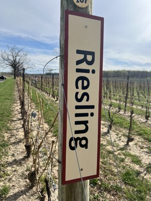 Red Tail Ridge Winery by null