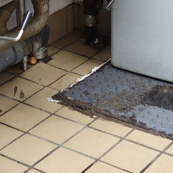 Dunkin' - More droppings never cleaned and month old donuts on the floor - Donuts Near Me - Orleans, Massachusetts