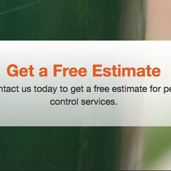 Rove Pest Control