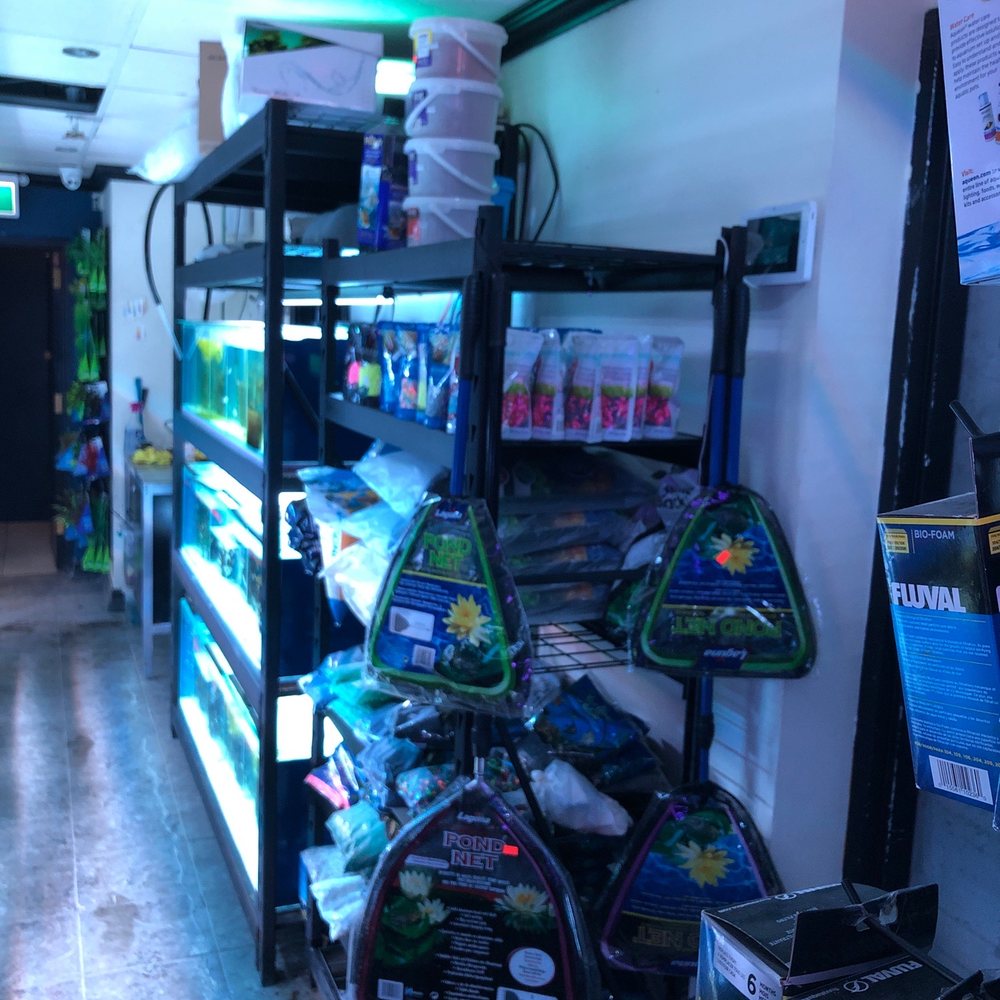 Fin Gallery - Local Fish Stores Near Me - Calgary, Alberta