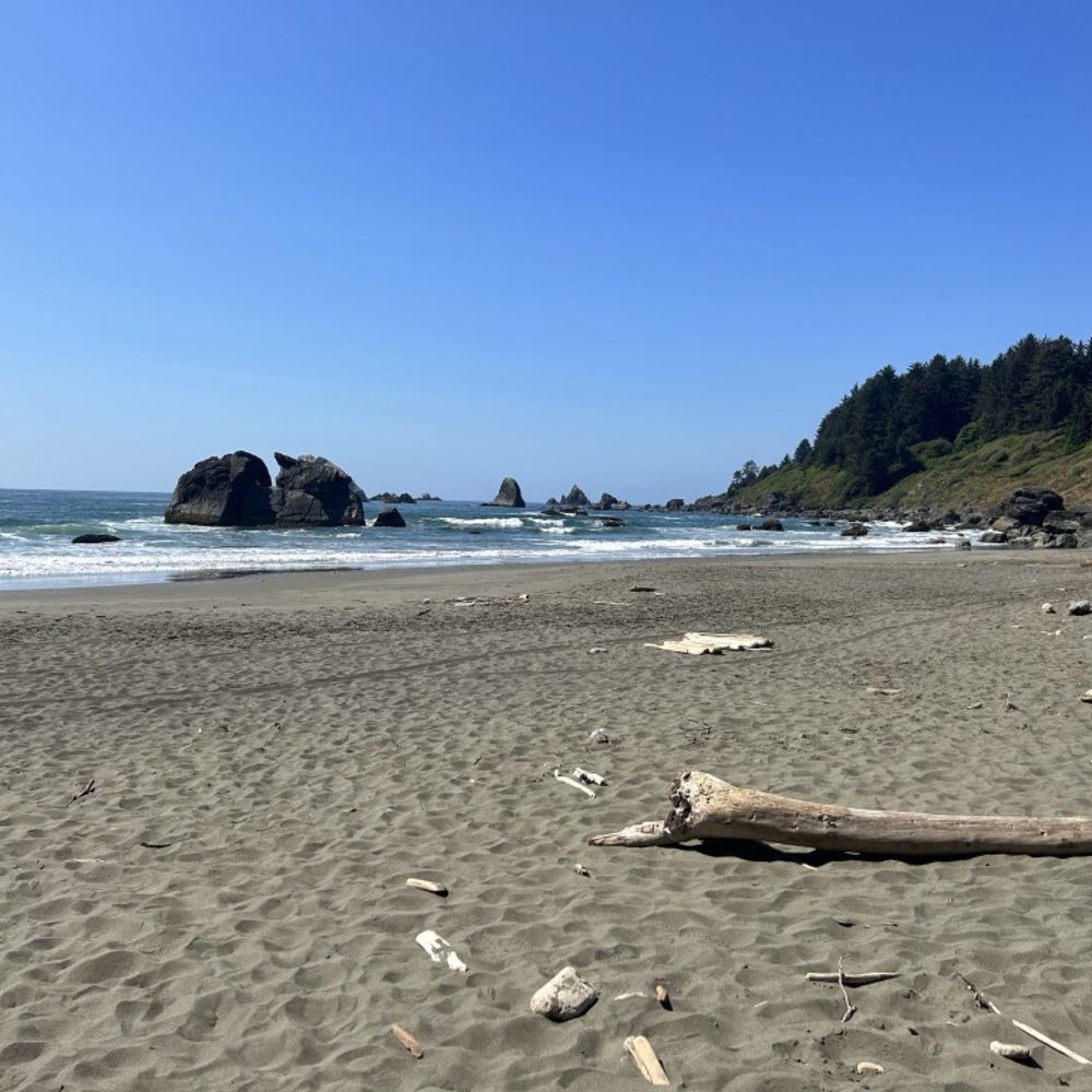 Hidden Beach - Looking north - Beaches Near Me - Klamath, California