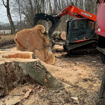 Landis Tree & Stump - untitled - Tree Services Near Me - Kendallville, Indiana Landis Tree & Stump - untitled - Tree Services Near Me - Kendallville, Indiana