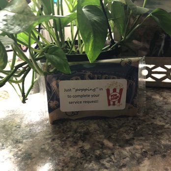 Level 550 - Present for me  and they brought my dog treats !! - Apartments Near Me - Mesa, Arizona