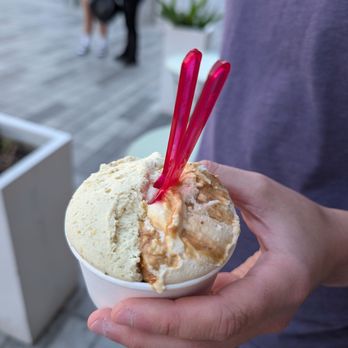 Almare Gelato Italiano - Pistachio / Toasted Almond - Ice Cream & Frozen Yogurt Near Me - Berkeley, California Almare Gelato Italiano - Pistachio / Toasted Almond - Ice Cream & Frozen Yogurt Near Me - Berkeley, California