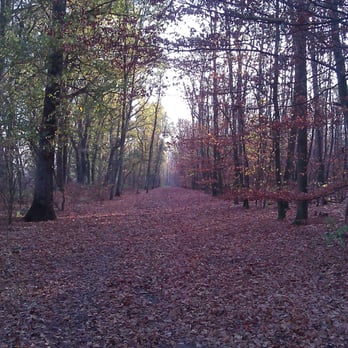 Parkanlagen - Parks Near Me