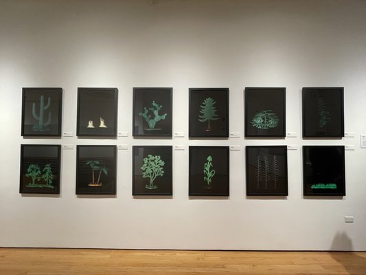Museum of Contemporary Photography by null