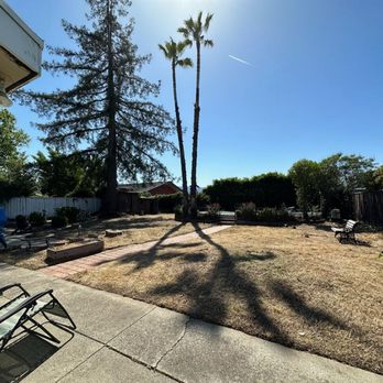 GGG Landscape - They trim the palm trees, too. - Landscaping Near Me GGG Landscape - They trim the palm trees, too. - Landscaping Near Me