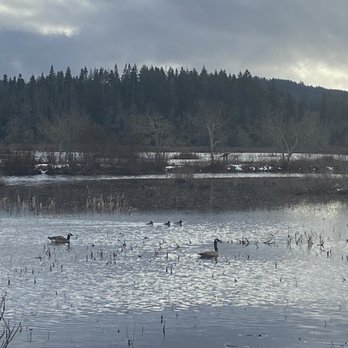 Seaquest State Park - Wildlife serenity - Hiking Near Me - Castle Rock, Washington