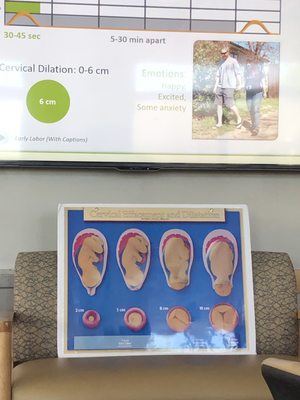 MaineHealth Maine Medical Center Portland Emergency Department by null