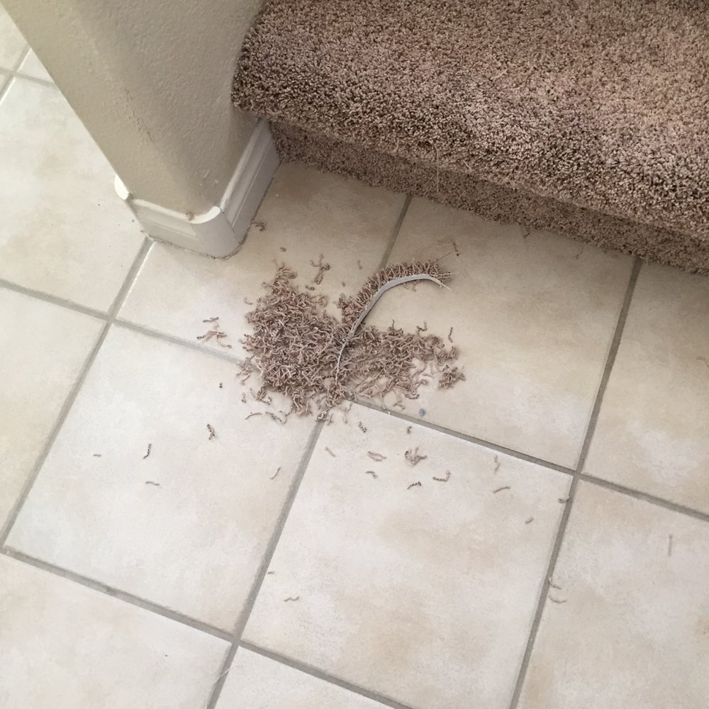 This is a pile of carpet they did not clean up. This is a pile of carpet they did not clean up.