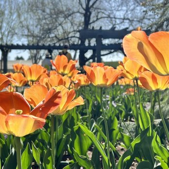 Denver Botanic Gardens - Favorite picture this trip - Botanical Gardens Near Me - Denver, Colorado