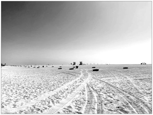 Huntington State Beach by null
