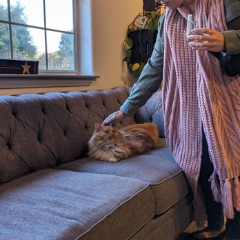 Midnight Cellars Winery - Saying hi to Leo - Beer, Wine & Spirits Near Me - Paso Robles, California Midnight Cellars Winery - Saying hi to Leo - Beer, Wine & Spirits Near Me - Paso Robles, California