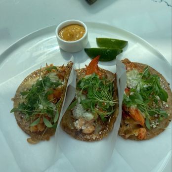 Coco Maya - Lobster tacos - Caribbean Near Me - San Diego, California Coco Maya - Lobster tacos - Caribbean Near Me - San Diego, California