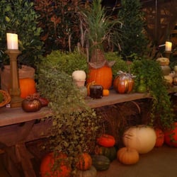 Soleil Garden Center