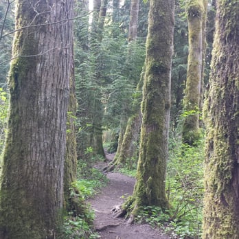 Crystal Falls - Trailhead - Crystal Falls Trails - Hiking Near Me - Coquitlam, British Columbia