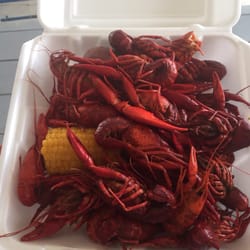 Michael Arnone's Crawfish Festival - Crawfish