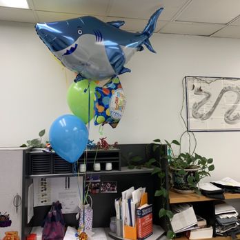 Amazing Balloons By Gee - Sharkkkkkk - Balloon Services Near Me - Hawthorne, California Amazing Balloons By Gee - Sharkkkkkk - Balloon Services Near Me - Hawthorne, California