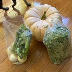 Midland Downtown Farmers Market - My haul today from the Flying Y Farms booth that is local organic and family owned.