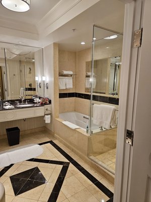 The Palazzo at The Venetian Resort by null