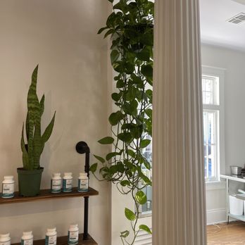 Botanicals Nola - Inside - Juice Bars & Smoothies Near Me - New Orleans, Louisiana