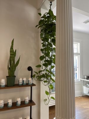 BOTANICALS NOLA by null