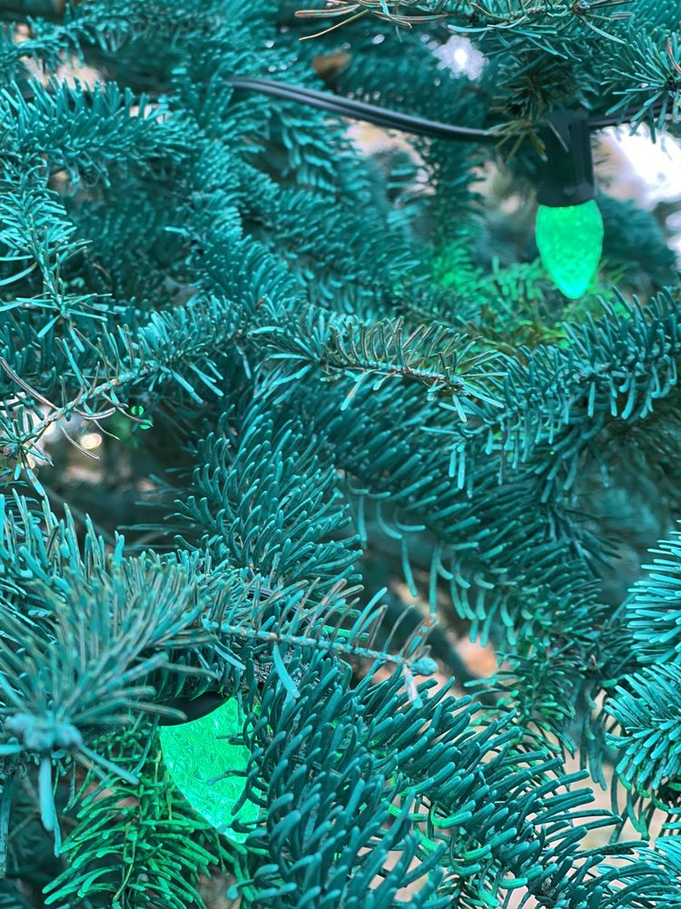 DART’S CHRISTMAS TREE FARM Updated September 2024 36 Photos & 10