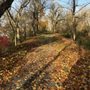 Photo of Western Maryland Rail Trail - Hancock