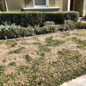 NAM Association Management - neighbor 2's front yard! - Property Management Near Me - Livermore, California NAM Association Management - neighbor 2's front yard! - Property Management Near Me - Livermore, California