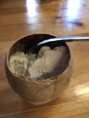 Bikini Toppings by null