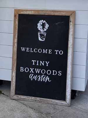 Tiny Boxwoods Austin by null