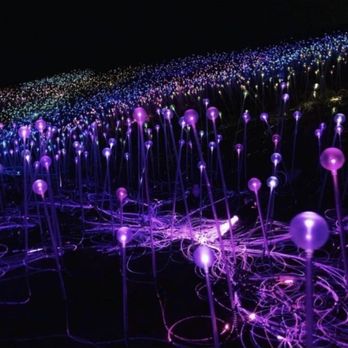 Sensorio - Lights - Art Galleries Near Me - Paso Robles, California