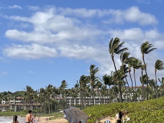 Wailea Beach by null