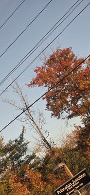 Princeton Junction Train Station, North Bound by null