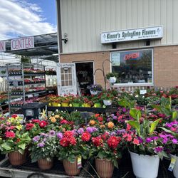 Kinner’s Springtime Flowers - The front of our store