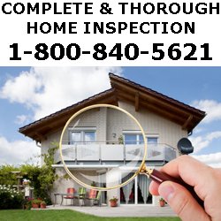 Termite Biz - CALL NOW FOR A FREE HOME INSPECTION!