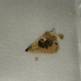 Soul Fish Cafe - A huge piece of an onion peel that my husband found in his greens while eating them. - Southern Near Me - Germantown, Tennessee