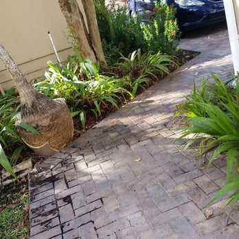 Premium Tree Service - Doesn't do justice to the mess these people left behind....1+ hours to clean up the mud and grassy chunks left strewn all over the drive - Tree Services Near Me - Miami, Florida Premium Tree Service - Doesn't do justice to the mess these people left behind....1+ hours to clean up the mud and grassy chunks left strewn all over the drive - Tree Services Near Me - Miami, Florida
