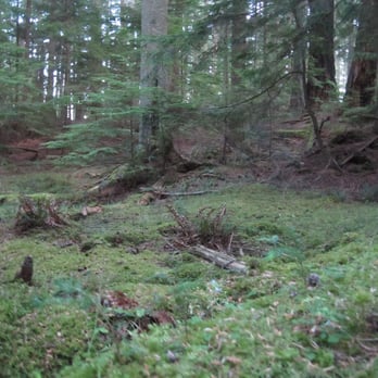 Moran State Park - Parks Near Me - Eastsound, Washington