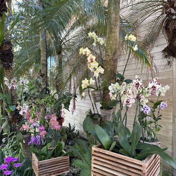 Naples Botanical Garden - Part of orchid garden - Botanical Gardens Near Me - Naples, Florida